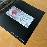 Dabbla 'Year Of The Monkey' TEST PRESS (1 of 5)