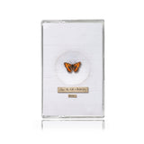 Farma G - How To Kill A Butterfly (LIMITED EDITION TAPE)