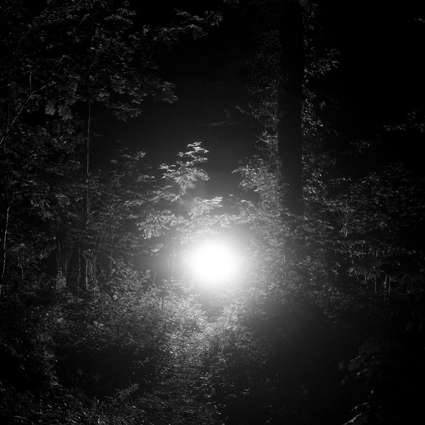 Ed Scissor + Lamplighter - JOYSVILLE (Digital)