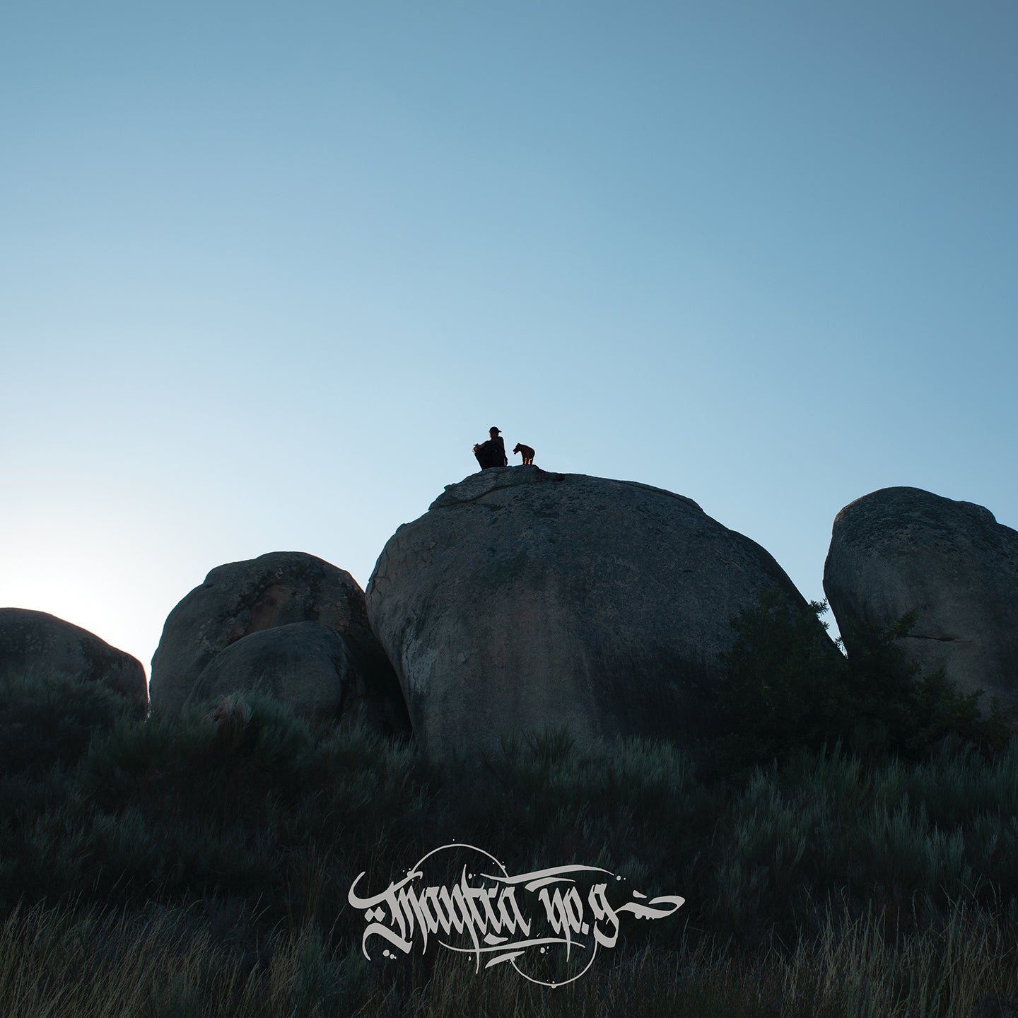 Fliptrix - Mantra No. 9 (LIMITED EDITION 2 x 12" BLACK VINYL)