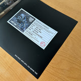 Dirty Dike 'Acrylic Snail' TEST PRESS (1 of 12)
