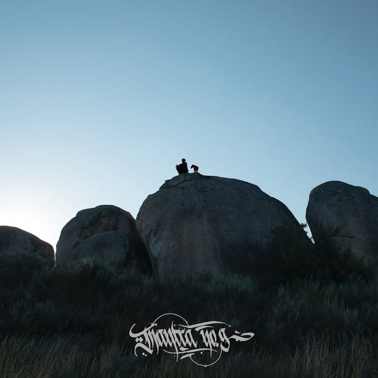 Fliptrix - Mantra No. 9 (DIGITAL)