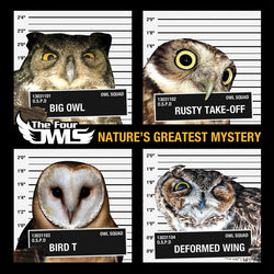The Four Owls - Nature's Greatest Mystery (Digital)