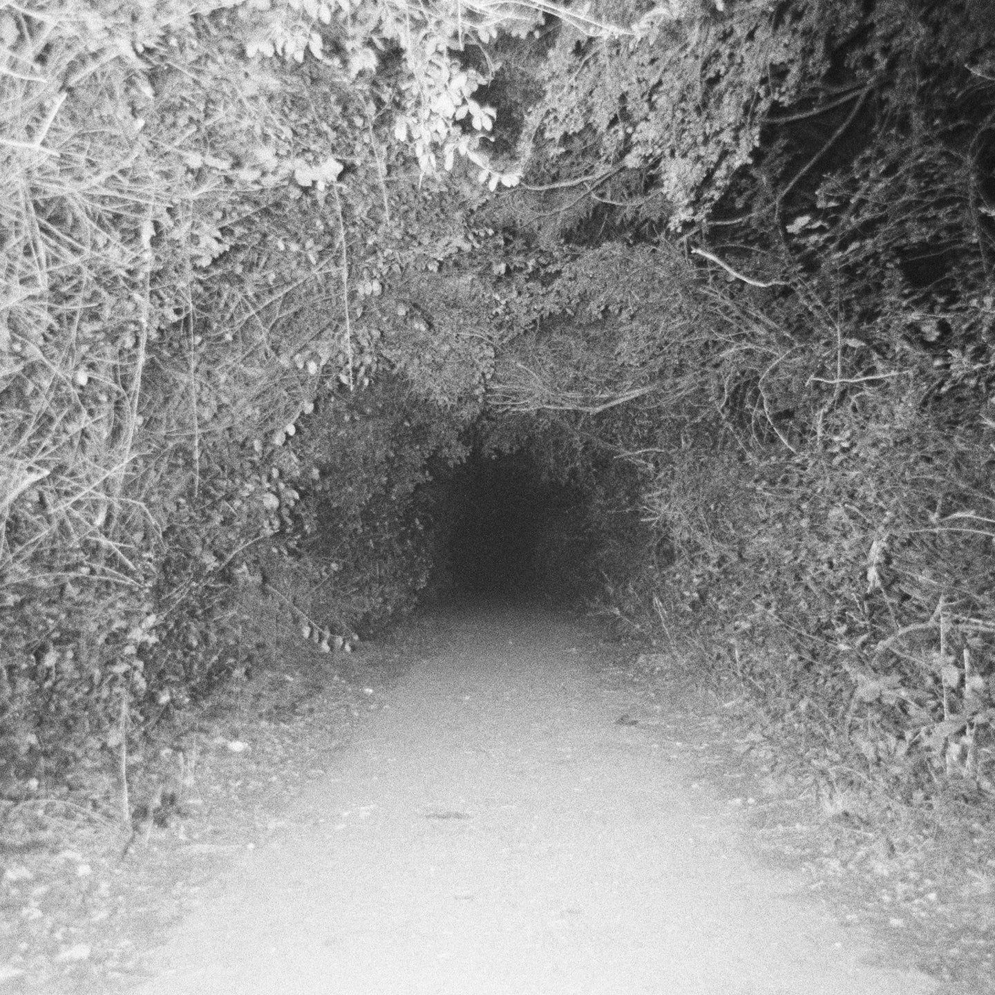 Ed Scissor & Lamplighter - Been A Minute (Digital)