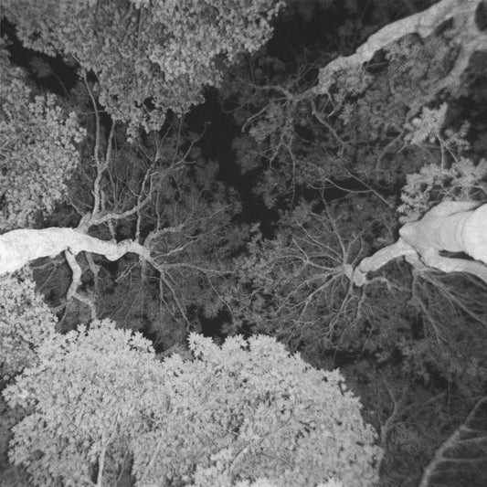 Ed Scissor + Lamplighter - Picture A Day (Digital)