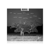 Ed Scissor + Lamplighter - Joysville (CD)