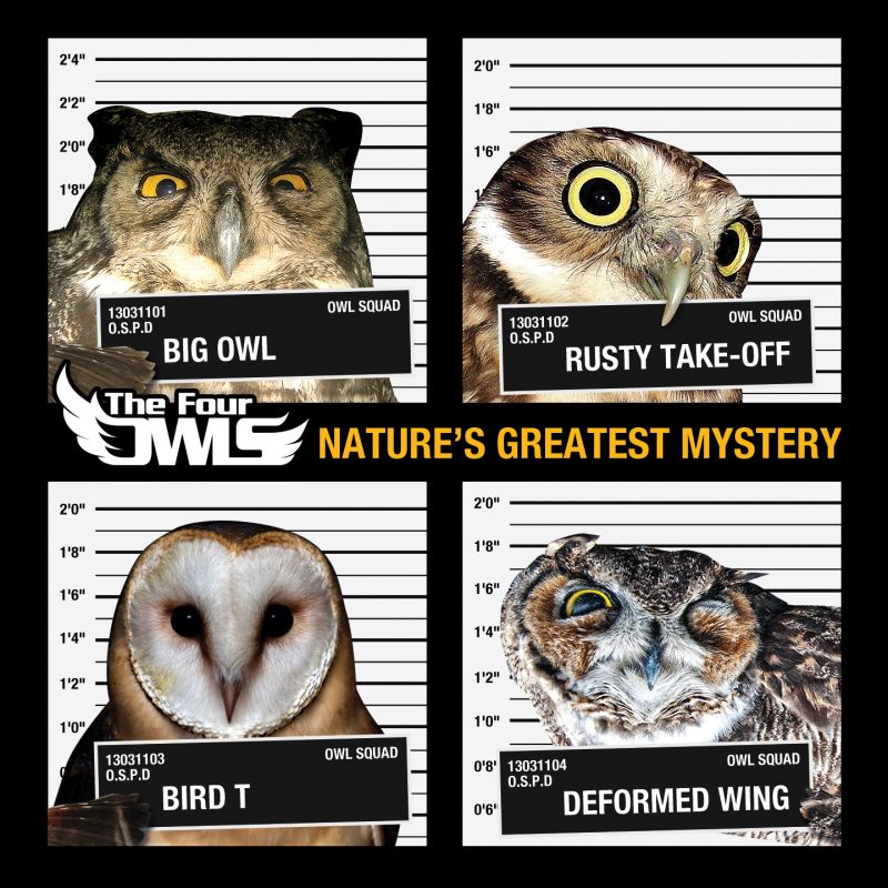 The Four Owls - Nature's Greatest Mystery (CD) – High Focus Records