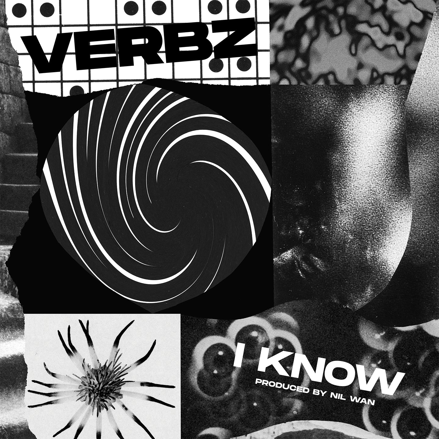 Verbz - I Know (Prod. Nil Wan) (Digital)